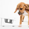 Cat Dog Feeding Water Bowl