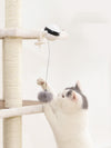 Lifting Motion Cat Toy