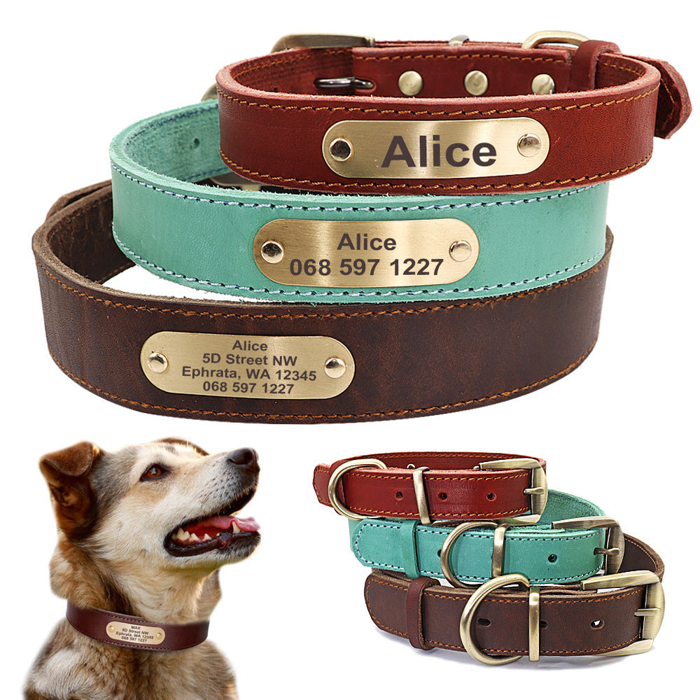 Personalized Dog Collars