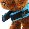 SharkPal-Dog Safety Vest