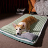 PetPad - Orthopedic dog bed